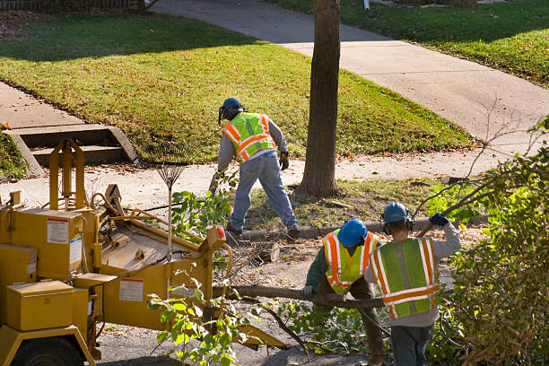 Best Soil Testing and Treatment  in Crockett, CA